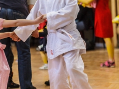 Dětský karneval 2013