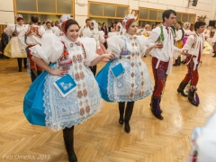 130119_krojovy_ples_009