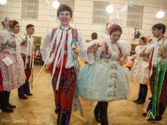 130119_krojovy_ples_010