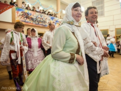 130119_krojovy_ples_011