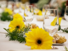 131018_setkani_seniori_018