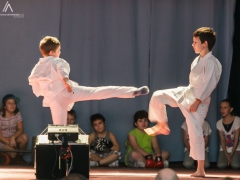 Školní akademie Prušánky 2013