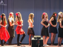 Školní akademie Prušánky 2013