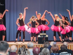 Školní akademie Prušánky 2013