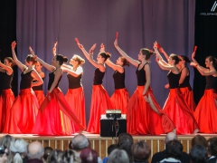 Školní akademie Prušánky 2013