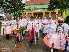 130921_vinobrani_010