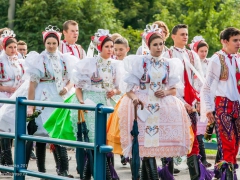 130921_vinobrani_027