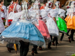 130921_vinobrani_033