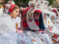 130921_vinobrani_037