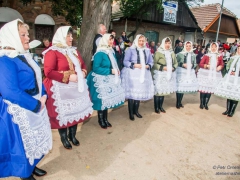 Vinobraní Prušánky 2013