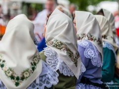 130921_vinobrani_050