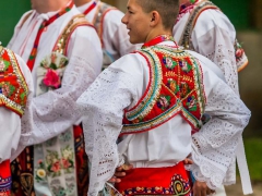 130921_vinobrani_052