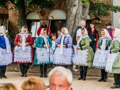 130921_vinobrani_053