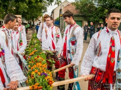 130921_vinobrani_056