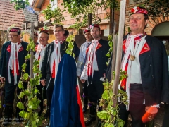 Vinobraní Prušánky 2013