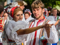 130921_vinobrani_071