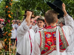 130921_vinobrani_073