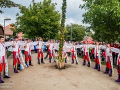 Vinobraní Prušánky 2013
