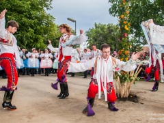 130921_vinobrani_079