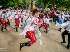 130921_vinobrani_082