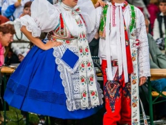 130921_vinobrani_090