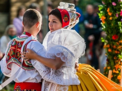 130921_vinobrani_105