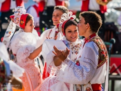 130921_vinobrani_107
