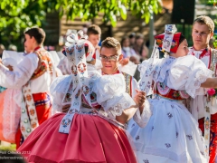 130921_vinobrani_109
