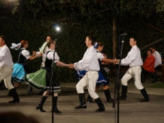 140811_beseda_u_cimbalu_016