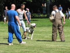 140607_detsky_den_004