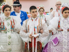 140118_krojovy_ples_18
