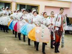 140118_krojovy_ples_28