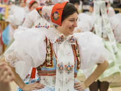 140118_krojovy_ples_32