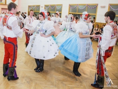 140118_krojovy_ples_33