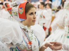 140118_krojovy_ples_34