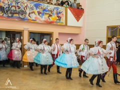 140118_krojovy_ples_54