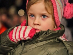 141130_vanocni_strom_004