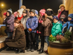 141130_vanocni_strom_009