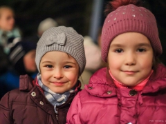 141130_vanocni_strom_011