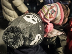 141130_vanocni_strom_023