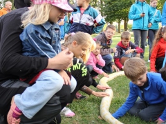 140620_svatojanska_021