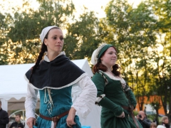140620_svatojanska_029