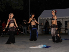 140620_svatojanska_033