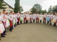 Prušánky, Vinobraní 2014