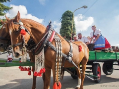 Prušánky, Vinobraní 2014