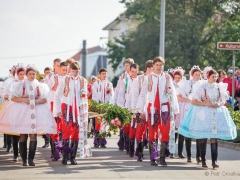 Prušánky, Vinobraní 2014