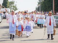 Prušánky, Vinobraní 2014