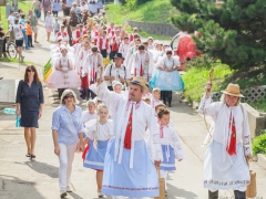 Prušánky, Vinobraní 2014