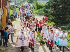 Prušánky, Vinobraní 2014
