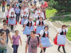 Prušánky, Vinobraní 2014